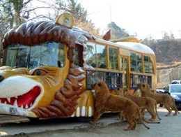 エサやりバスに乗ろう！ | 野生の王国 群馬サファリパーク