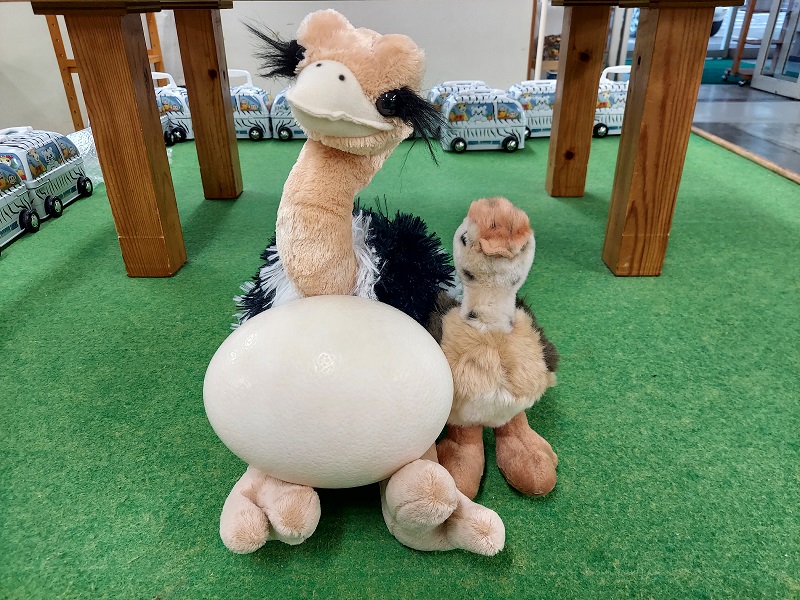 群馬サファリパークオークション - ダチョウの卵とダチョウの