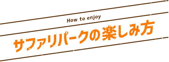 サファリパークの楽しみ方