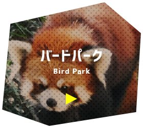 バードパーク