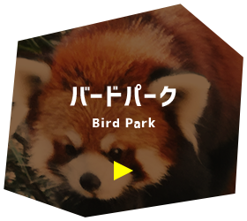バードパーク