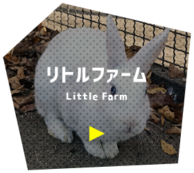 リトルフォーム