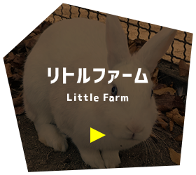 リトルフォーム