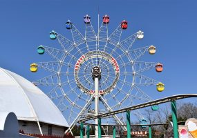 遊園地 野生の王国 群馬サファリパーク