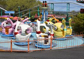 遊園地 野生の王国 群馬サファリパーク 遊園地 野生の王国 群馬サファリパーク