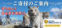 メインビジュアル下部（ご寄付のご案内）