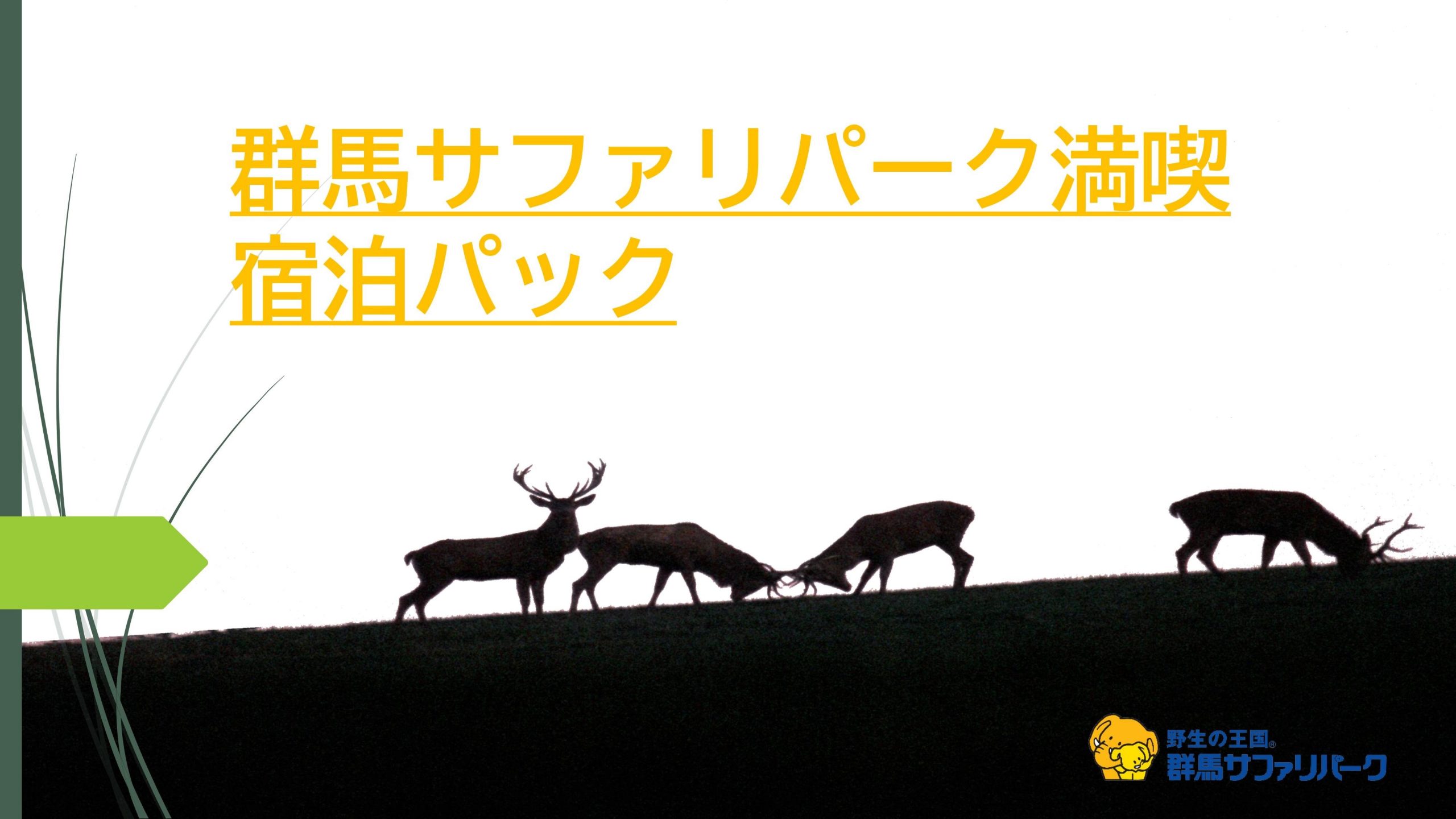 群馬サファリパーク満喫宿泊パック新登場 野生の王国 群馬サファリパーク 群馬サファリパーク満喫宿泊パック新登場 野生の王国 群馬サファリパーク