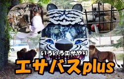 スライドバナー（フルコースバス）