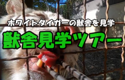 スライドバナー（飼育体験バス）