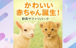 赤ちゃんたちを紹介します（スライドバナー）