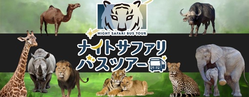 【メインビジュアル下右側バナー】ナイトサファリ